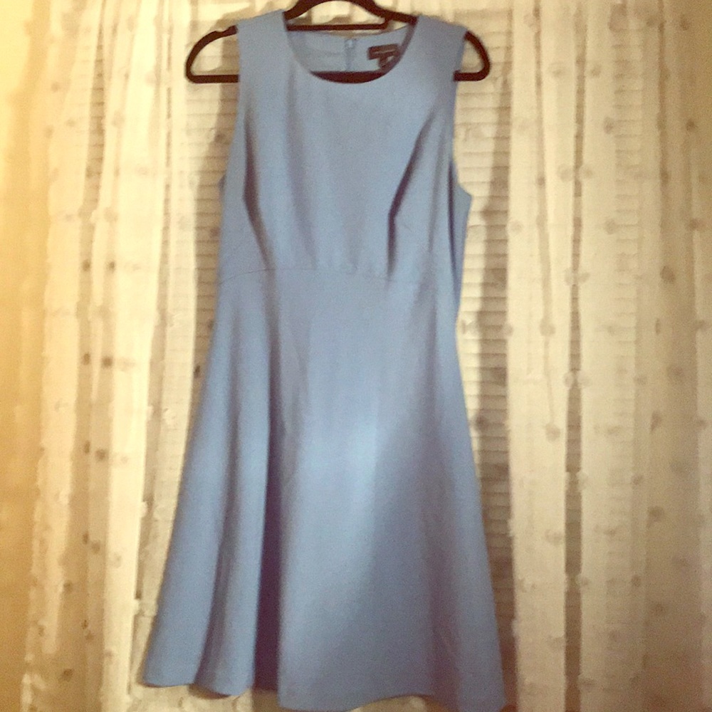 The Limited Sleeveless Dress